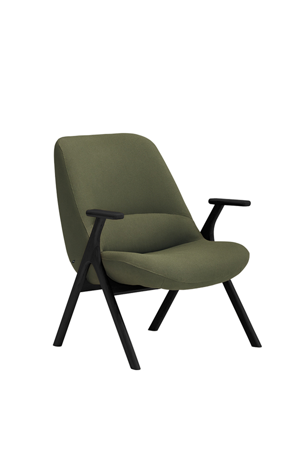 Teulat Dins moderné kreslo do obývačky - Zelená, Čierna drevená podnož