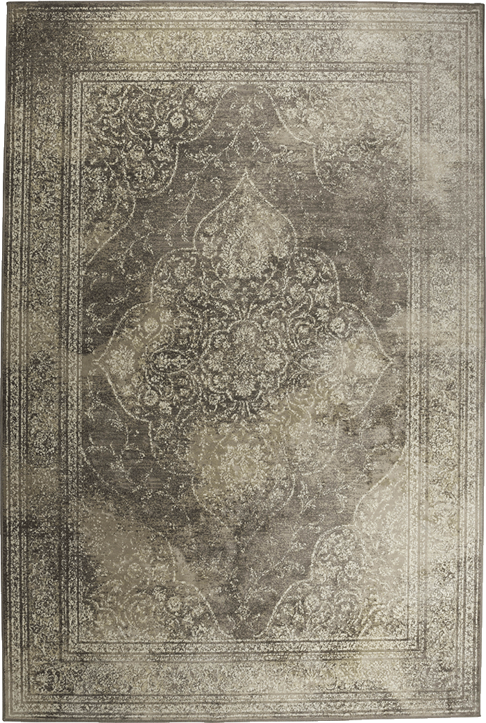 Dutchbone Rugged kusový koberec - Svetlosivá, 200 x 300 cm